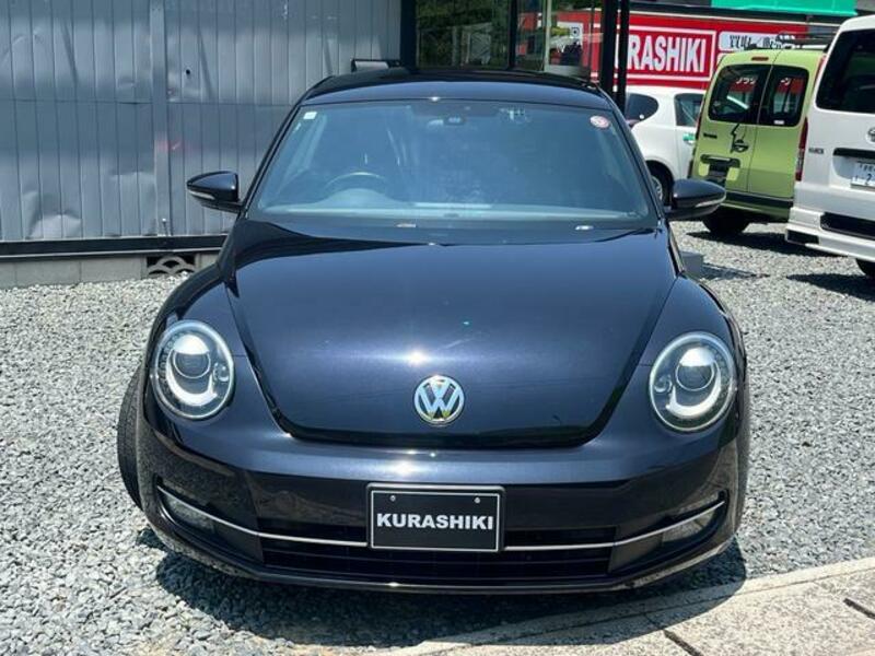 THE BEETLE
