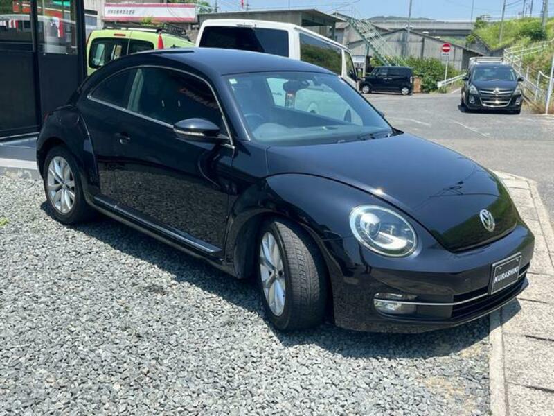THE BEETLE