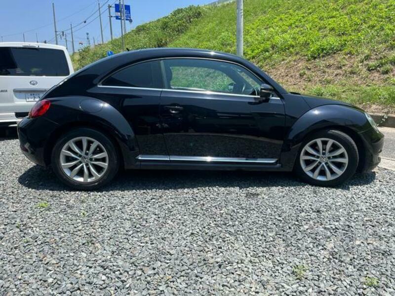 THE BEETLE
