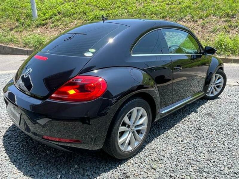 THE BEETLE