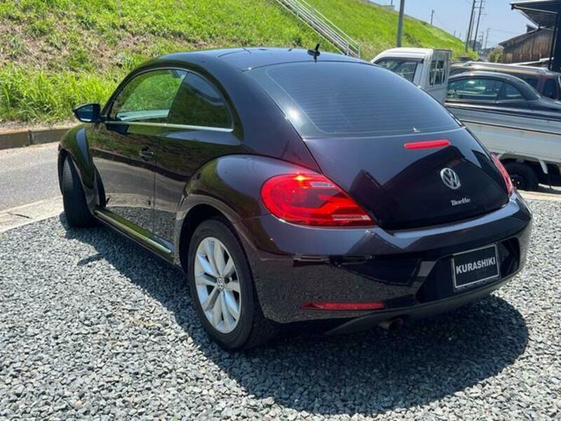 THE BEETLE