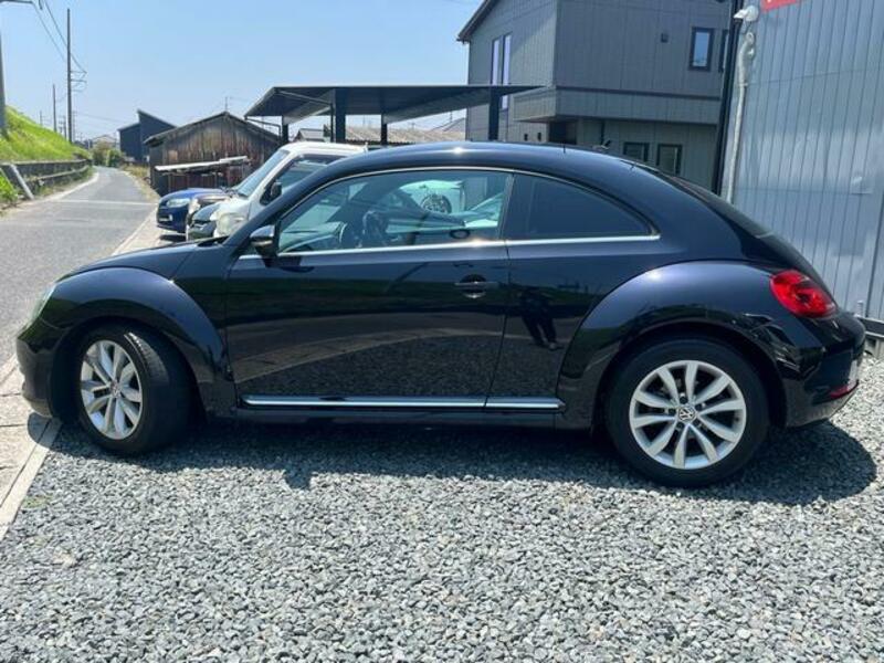 THE BEETLE