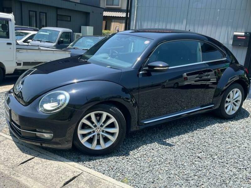 THE BEETLE