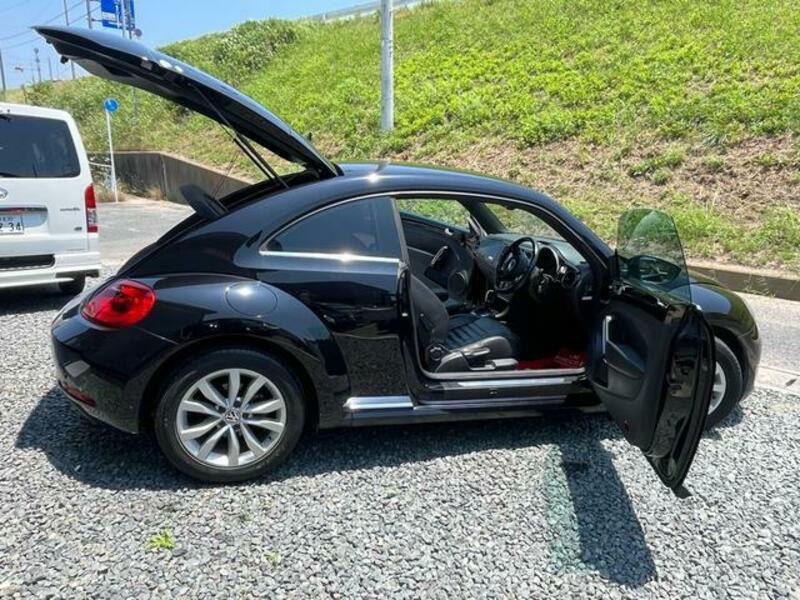 THE BEETLE