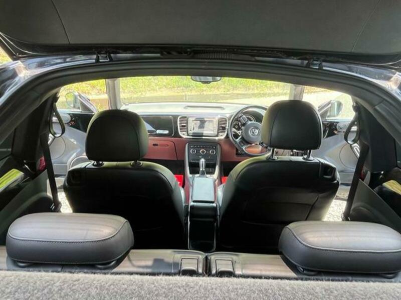 THE BEETLE