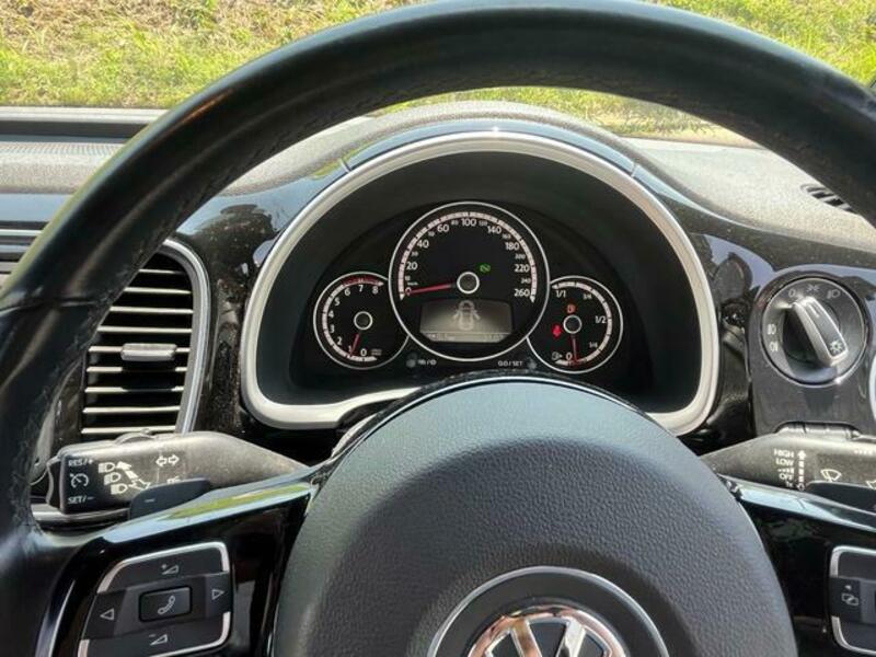 THE BEETLE