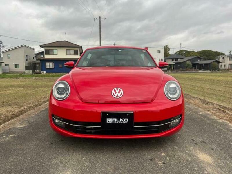 THE BEETLE