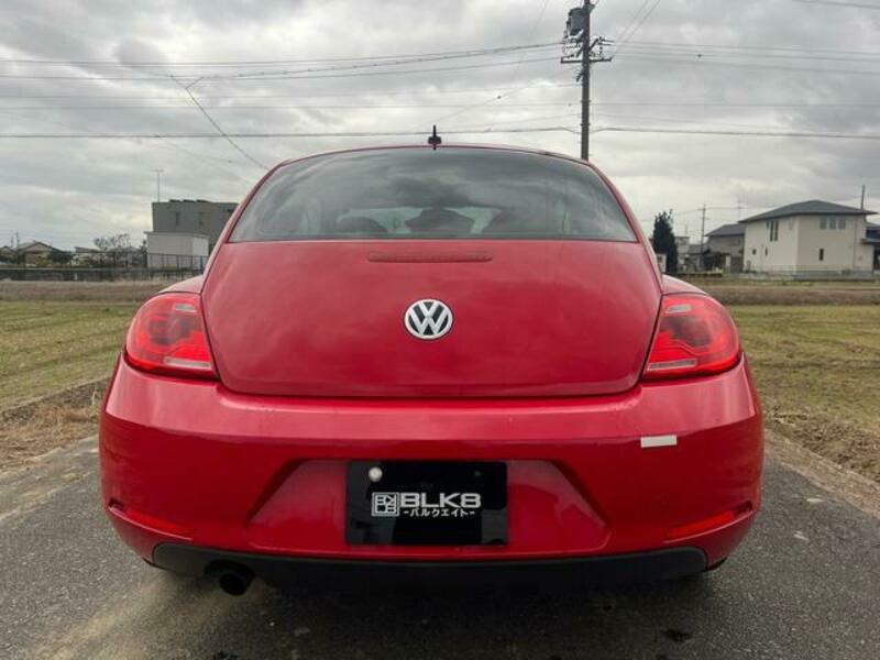 THE BEETLE