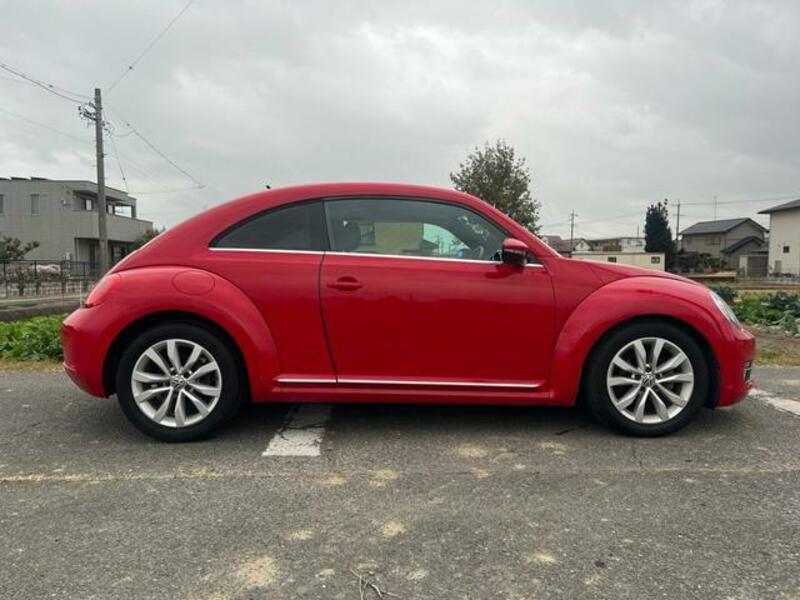 THE BEETLE