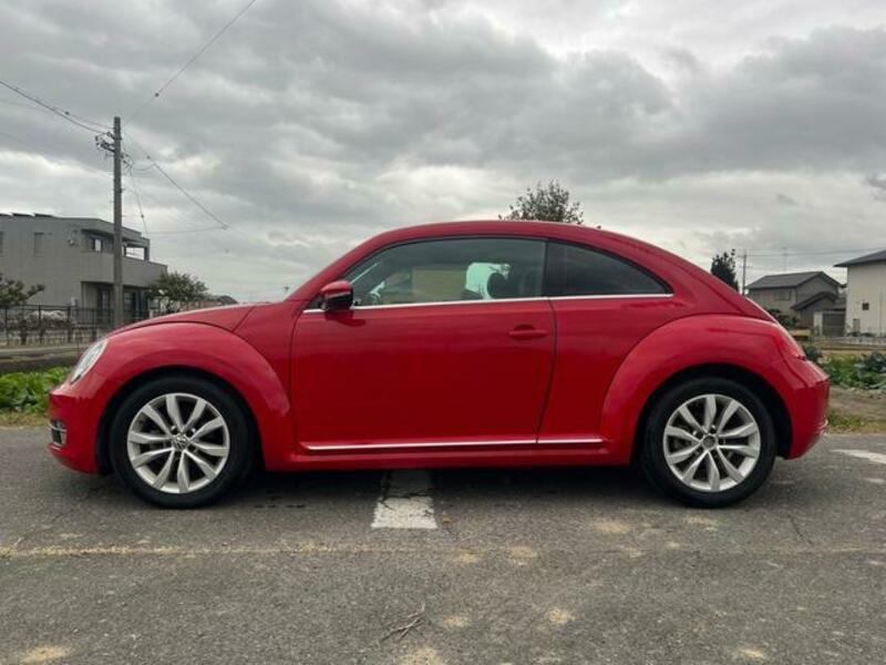 THE BEETLE