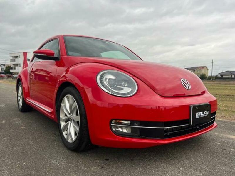 THE BEETLE