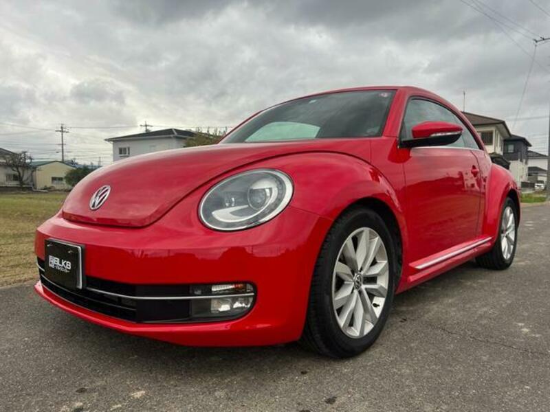 THE BEETLE