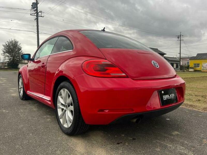 THE BEETLE