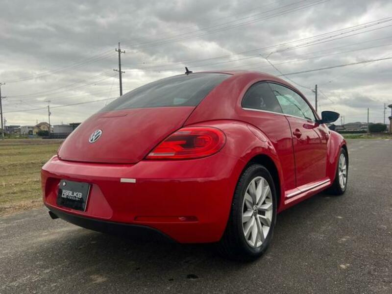 THE BEETLE