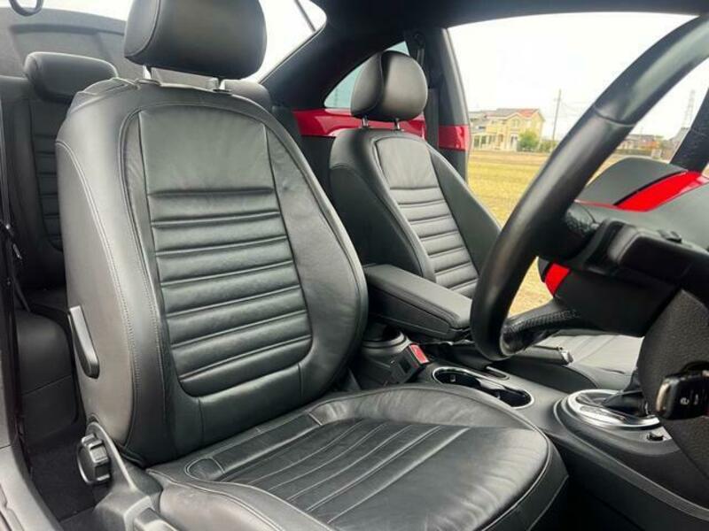 THE BEETLE