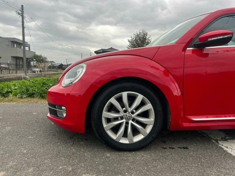THE BEETLE