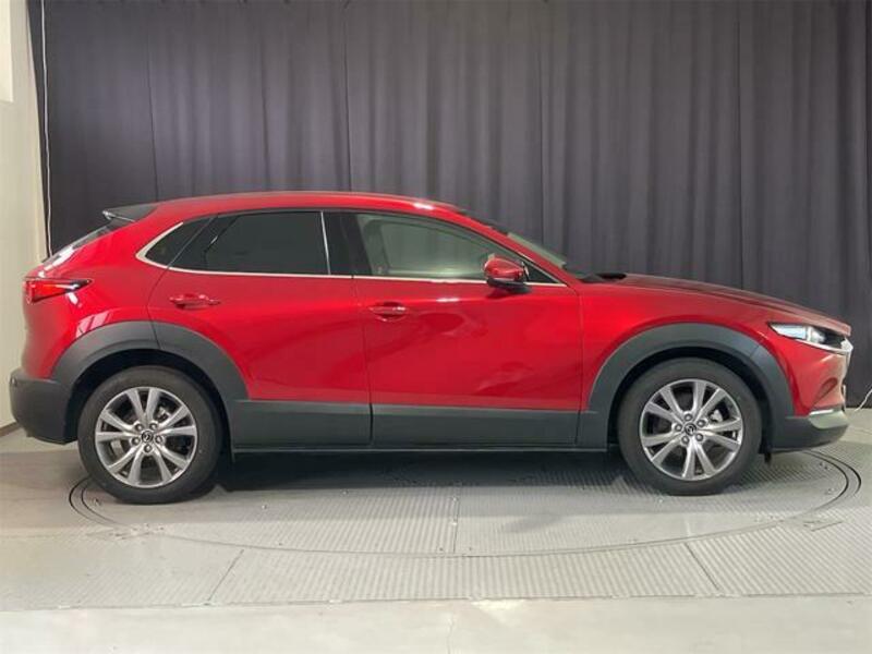 CX-30