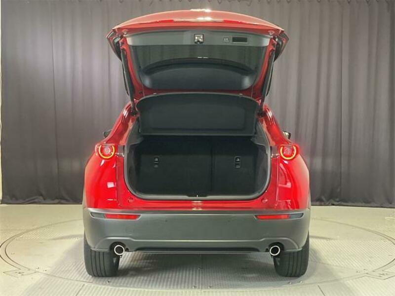 CX-30