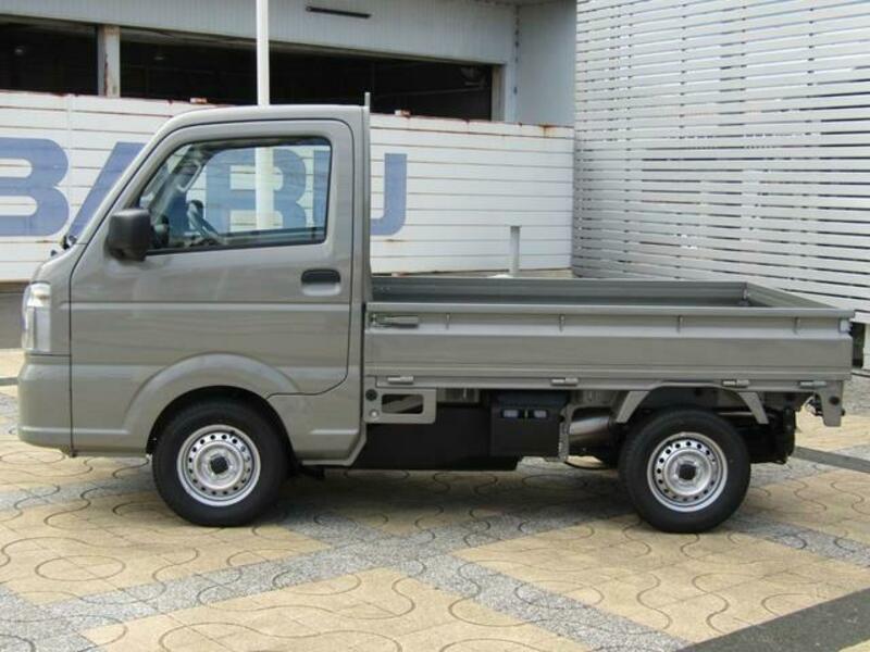 CARRY TRUCK