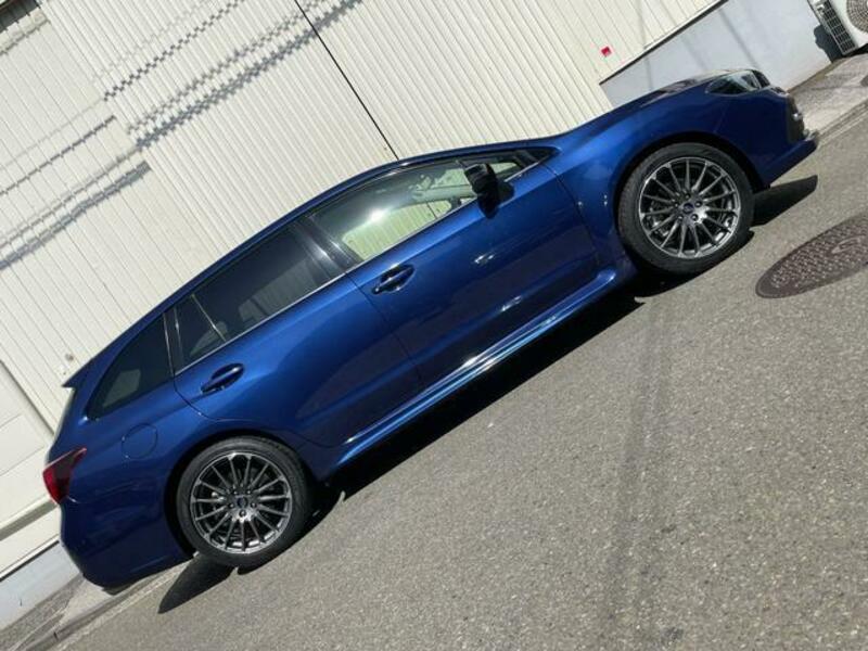 LEVORG