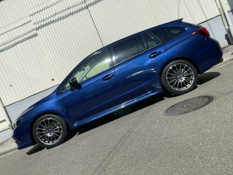 LEVORG