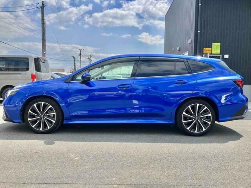 LEVORG