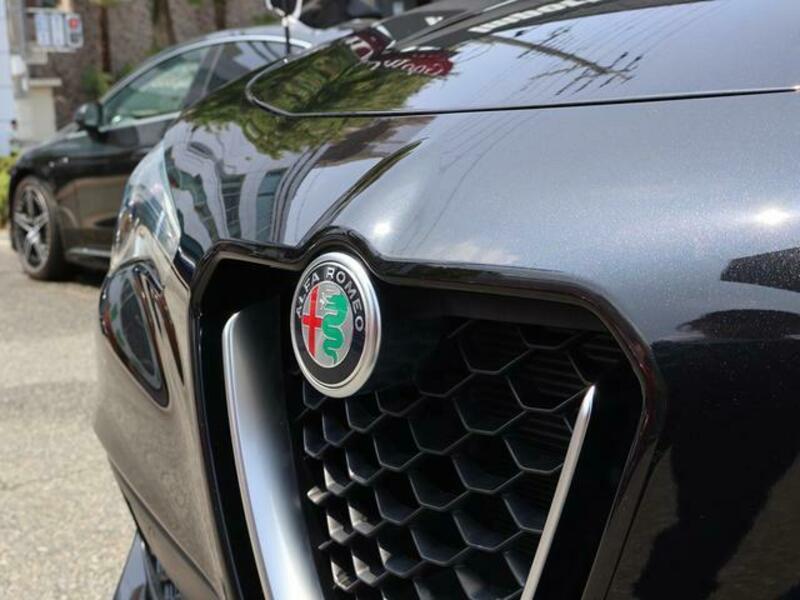 STELVIO
