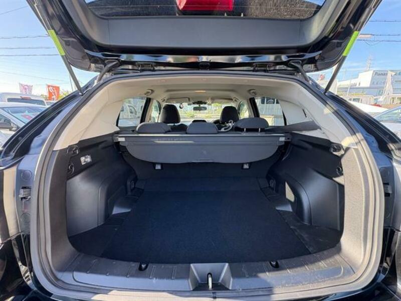 XV