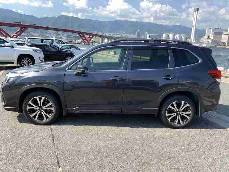 FORESTER