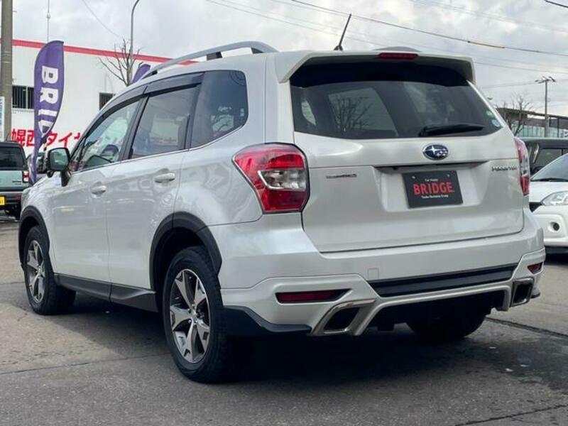 FORESTER