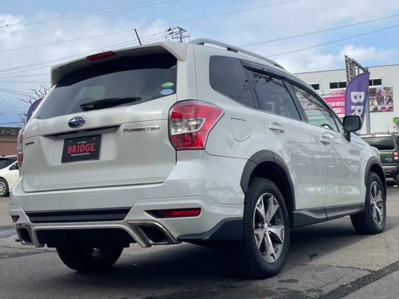 FORESTER