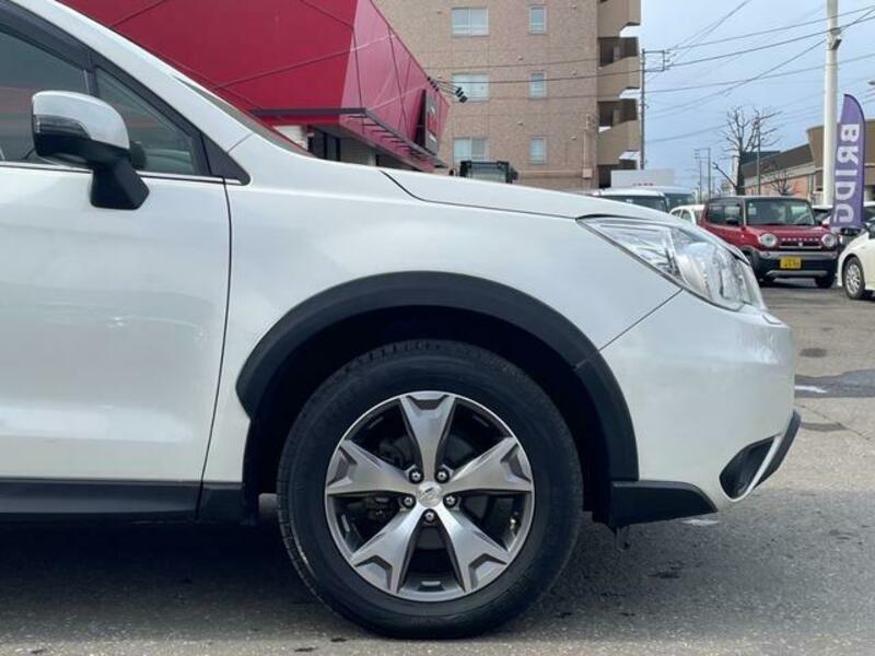 FORESTER