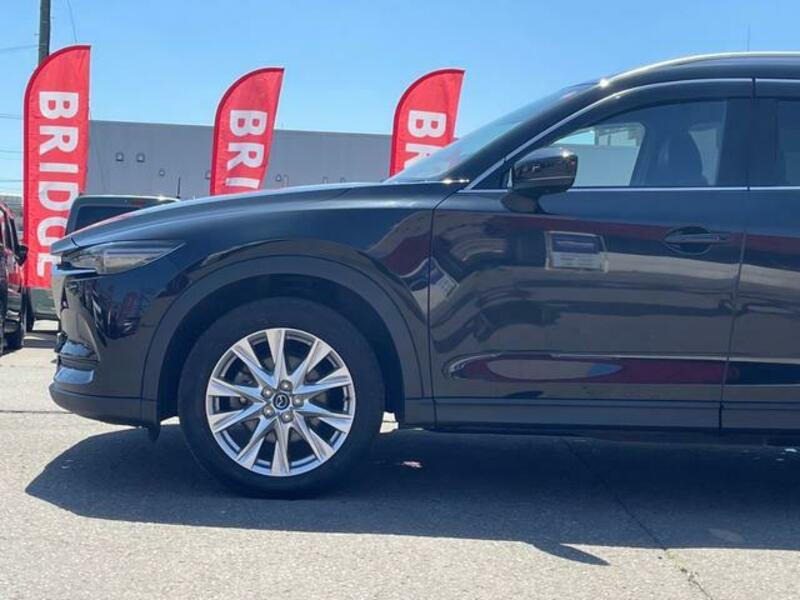 CX-8