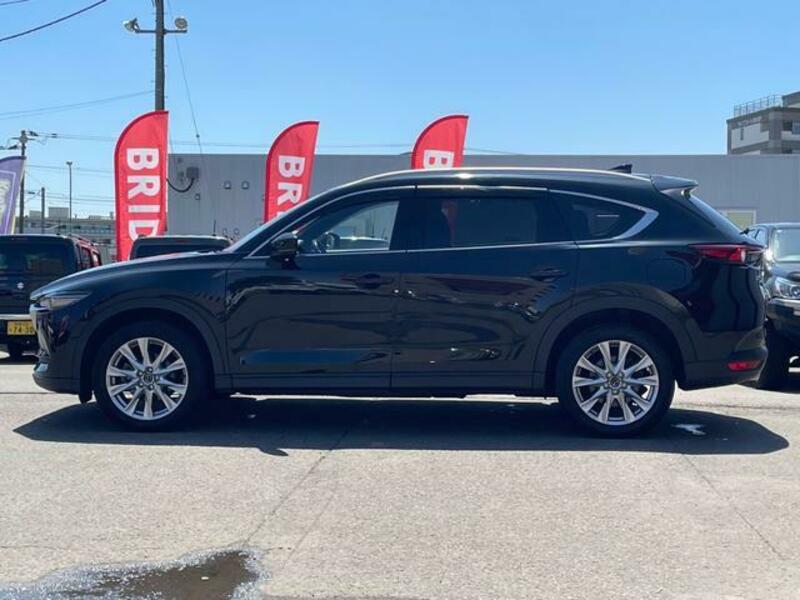 CX-8