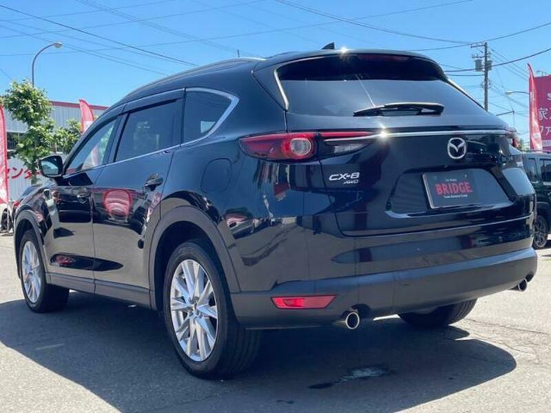 CX-8