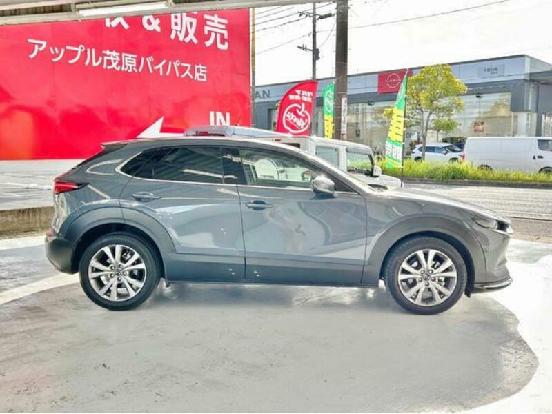 CX-30