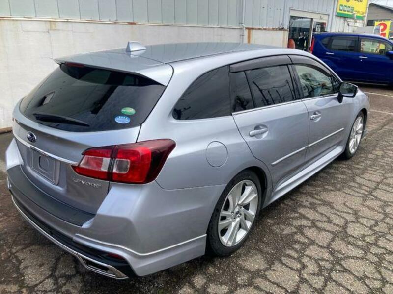 LEVORG