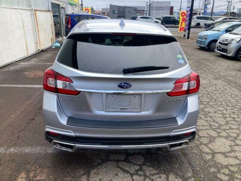 LEVORG