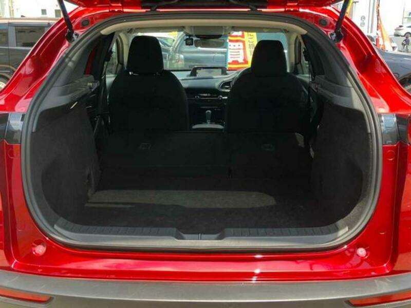 CX-30