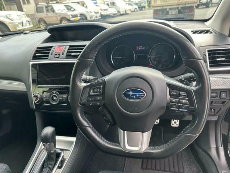 LEVORG
