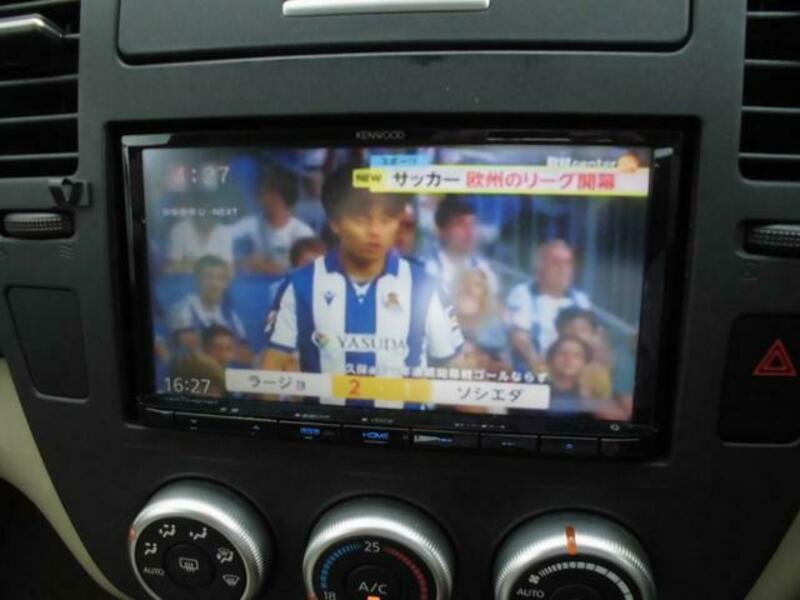 BLUEBIRD SYLPHY