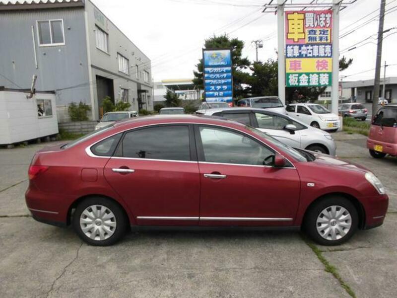 BLUEBIRD SYLPHY
