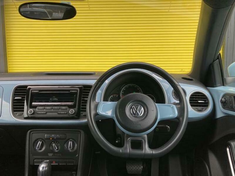 THE BEETLE