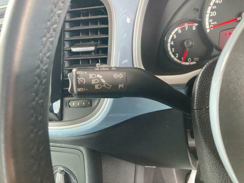 THE BEETLE