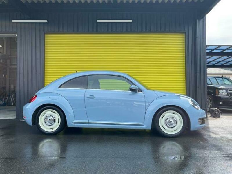 THE BEETLE