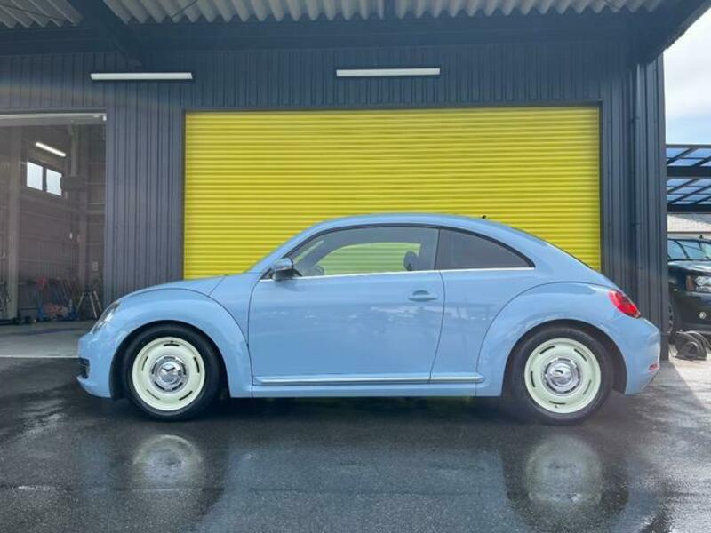 THE BEETLE