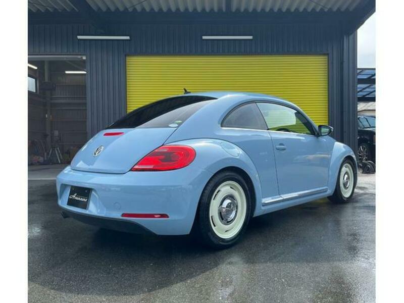 THE BEETLE