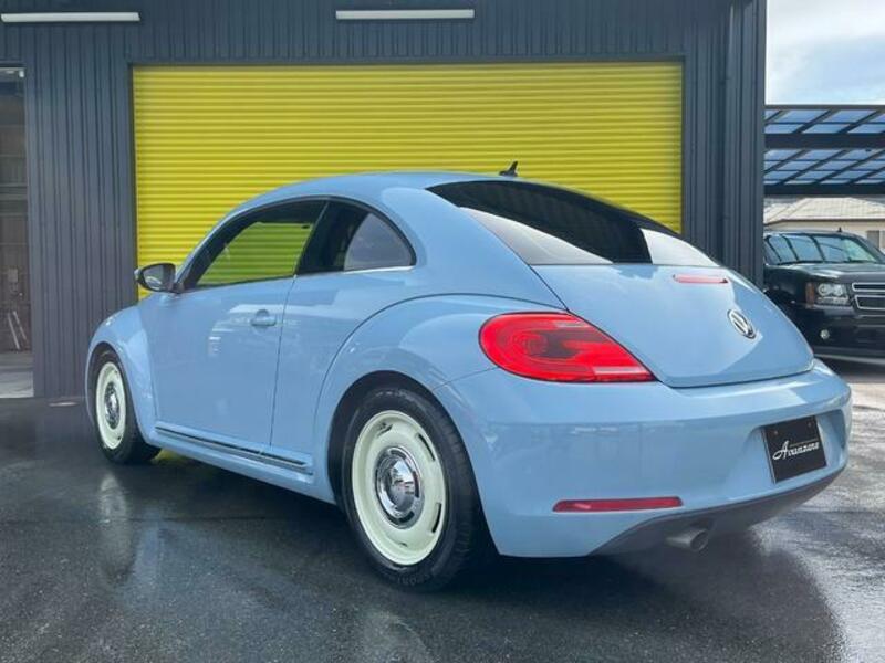 THE BEETLE