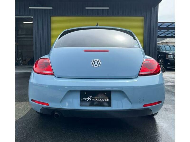 THE BEETLE