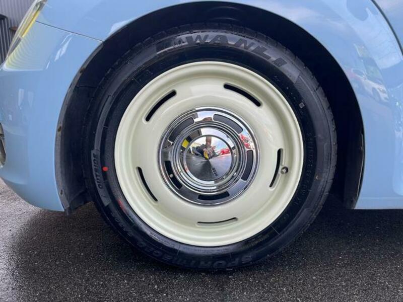 THE BEETLE